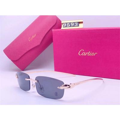 Cartier Sunglass A 014